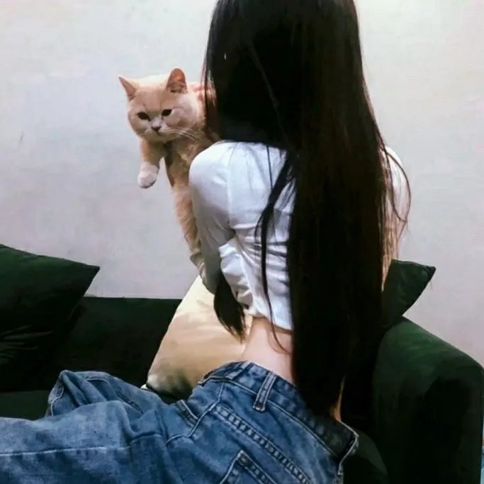 绿区